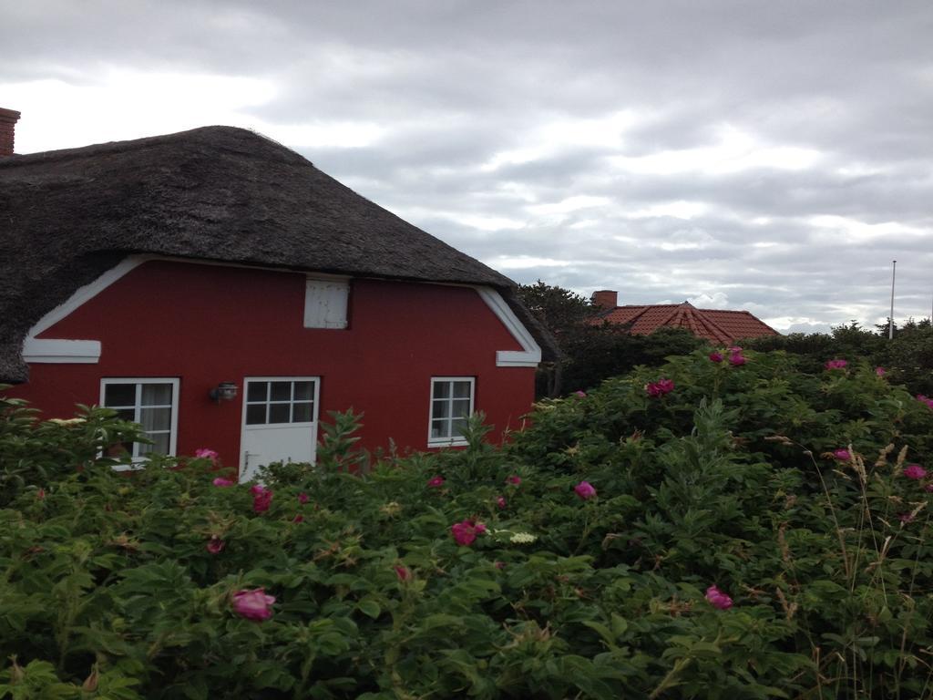 Sondervig Camping & Cottages Kültér fotó